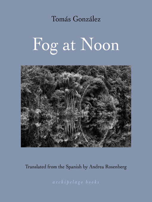 Title details for Fog at Noon by Tomas Gonzalez - Available